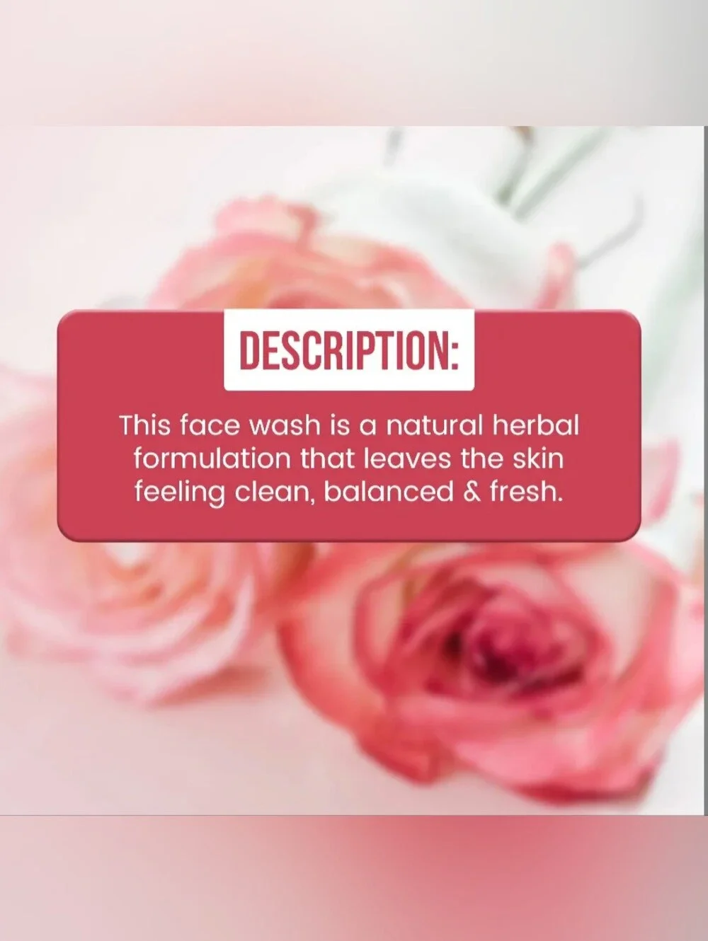 N/A rose face